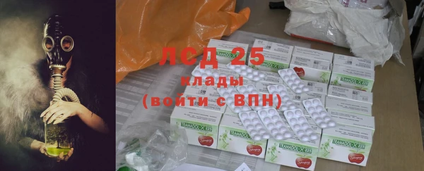 ПСИЛОЦИБИНОВЫЕ ГРИБЫ Абаза