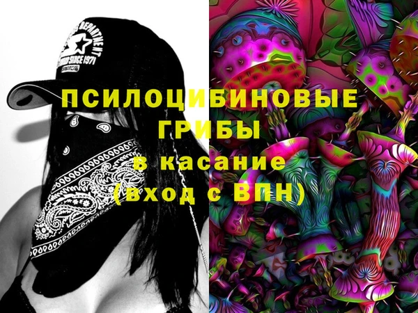 ПСИЛОЦИБИНОВЫЕ ГРИБЫ Покровск