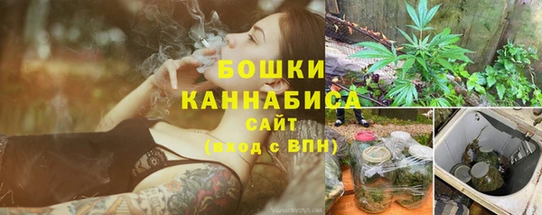 стафф Покачи