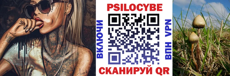 Псилоцибиновые грибы MAGIC MUSHROOMS  Тайга 
